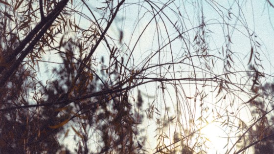 Hangat sinar matahari dalam dinginnya musim hujan