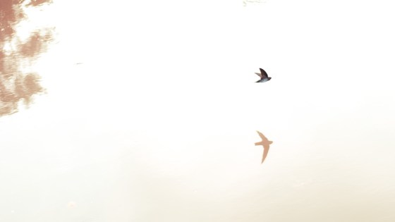 Feels like very close to the other dimensions