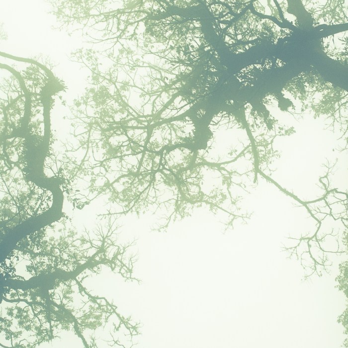 Pemandangan mistisnya antara lain adalah seperti ini.